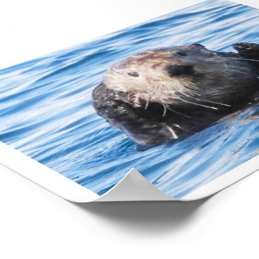 シーオッター ポスター (角)