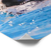 シーオッター ポスター (角)