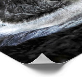 シーオッター ポスター (角)