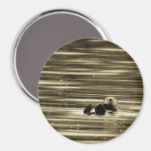 シーオッター マグネット (正面/裏面)