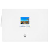 シーオーツとサーフ！ヒルトンヘッドアイランドSC (裏面横)