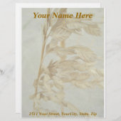 シーオーツアウターバンクNCシリーズ レターヘッド (正面/裏面)