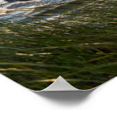 シーオーツアンドセントジョセフ ポスター (角)