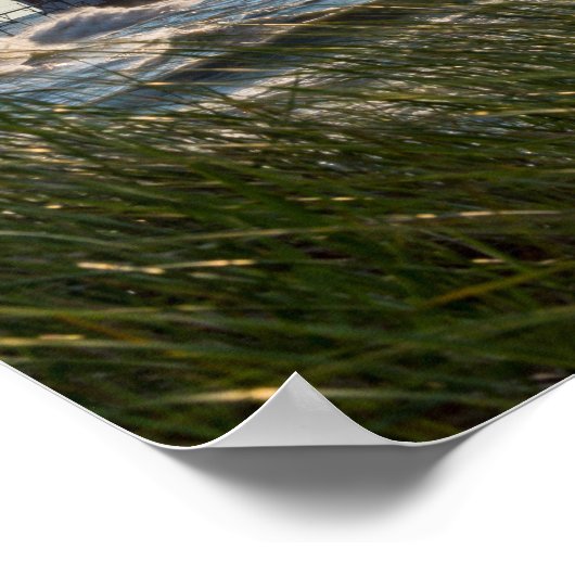 シーオーツアンドセントジョセフ ポスター (角)