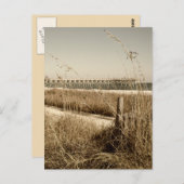 シーオーツオンザデューンズアットマートルビーチ ポストカード (正面/裏面)