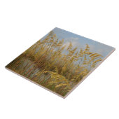 シーオーツオンザビーチ砂丘 タイル (側面)