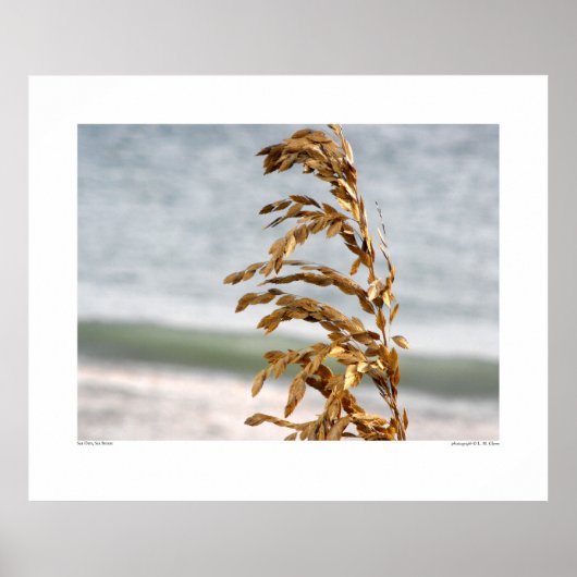 シーオーツシーブリーズ ポスター (正面)