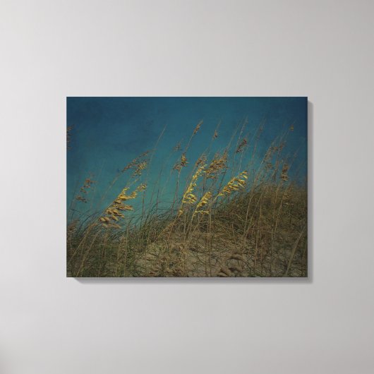 シーオーツ キャンバスプリント (正面)