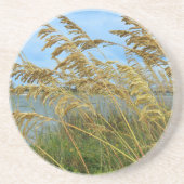 シーオーツ コースター (正面)