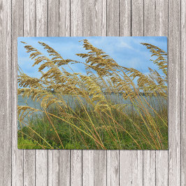 シーオーツ ドアマット