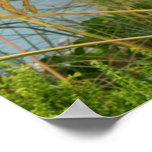 シーオーツ ポスター (角)