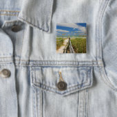 シーオーツ·ユニオラ·パニキュラタ(Sea oats Uniola paniculata)がビーチで 缶バッジ (インサイチュ)