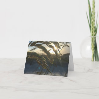 シーオート諸島ノートカード ノートカード