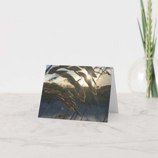 シーオート諸島ノートカード ノートカード (正面)