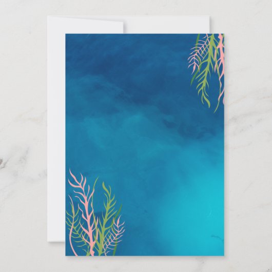 シーカメ招待状 招待状 (裏面)