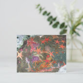 シーカラフルスターズ ポストカード (スタンド正面)