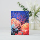 シーカラフルスポンジハガキ ポストカード (スタンド正面)