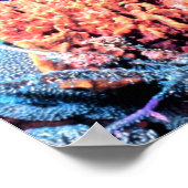 シーカラフルスポンジポスター15x15 ポスター (角)