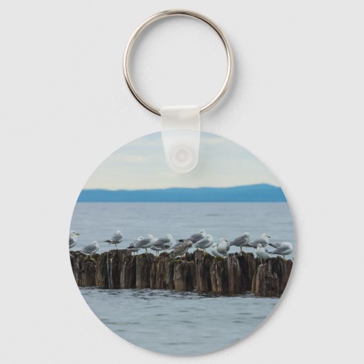 シーガルのブレークタイム キーホルダー (正面)