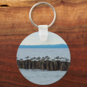 シーガルのブレークタイム キーホルダー (正面)