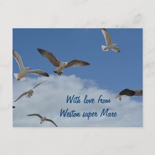 シーガルはがき – ウェストンマすごいーレ発 ポストカード (正面)