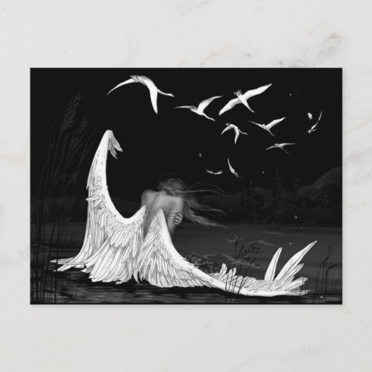 シーガルはがき ポストカード (正面)