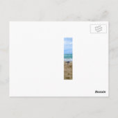 シーガルはがき ポストカード (裏面)