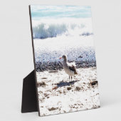 シーガルは海ビーチ写真 フォトプラーク (側面)