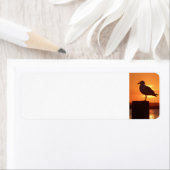 シーガルアットサンセット ラベル (インサイチュ)