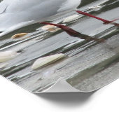 シーガルアットザビーチ ポスター (角)