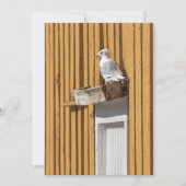 シーガルイエローノルウェーの家の写真 シーズンカード (正面)