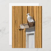 シーガルイエローノルウェーの家の写真 シーズンカード (正面/裏面)