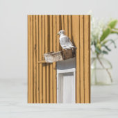 シーガルイエローノルウェーの家の写真 シーズンカード (スタンド正面)