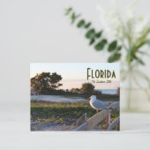 シーガルインフロリダサンシャイン州ハネムーン島 ポストカード (スタンド正面)