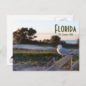 シーガルインフロリダサンシャイン州ハネムーン島 ポストカード (正面/裏面)