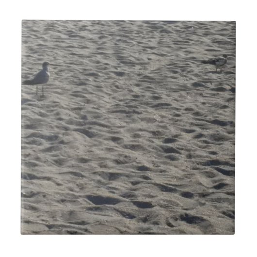 シーガルオンココアビーチ タイル (正面)