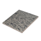 シーガルオンココアビーチ タイル (側面)