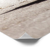 シーガルオンバージニアビーチ ポスター (角)