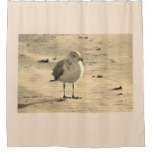 シーガルオンビーチ