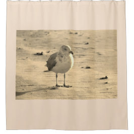 シーガルオンビーチ シャワーカーテン