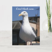 シーガルサプライズおもしろい誕生日カード カード (正面)