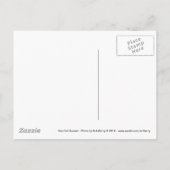 シーガルサンセット ポストカード (裏面)