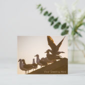 シーガルズアットサンセパーソナライズされたット ポストカード (スタンド正面)