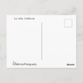 シーガルズアットサンセパーソナライズされたット ポストカード (裏面)