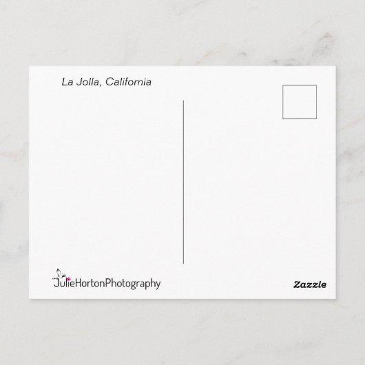 シーガルズアットサンセパーソナライズされたット ポストカード (裏面)