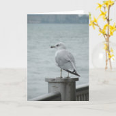 シーガルノートカード カード (黄色い花)