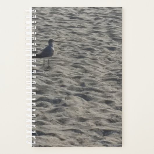 シーガルプランナー プランナー手帳 (正面)