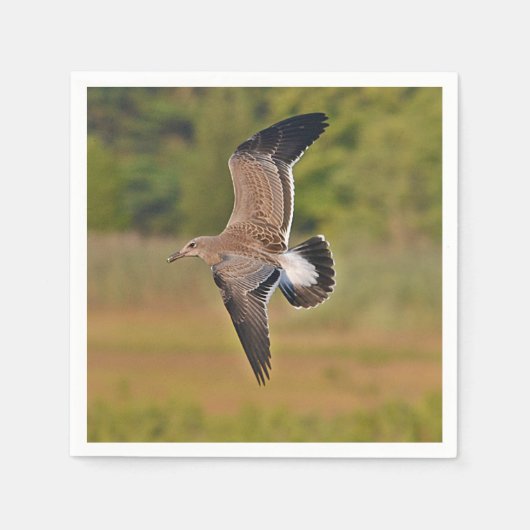 シーガルペーパーナプキン スタンダードカクテルナプキン (正面)