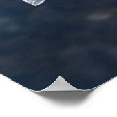 シーガルポスター4 ポスター (角)