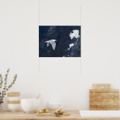 シーガルポスター4 ポスター (キッチン)